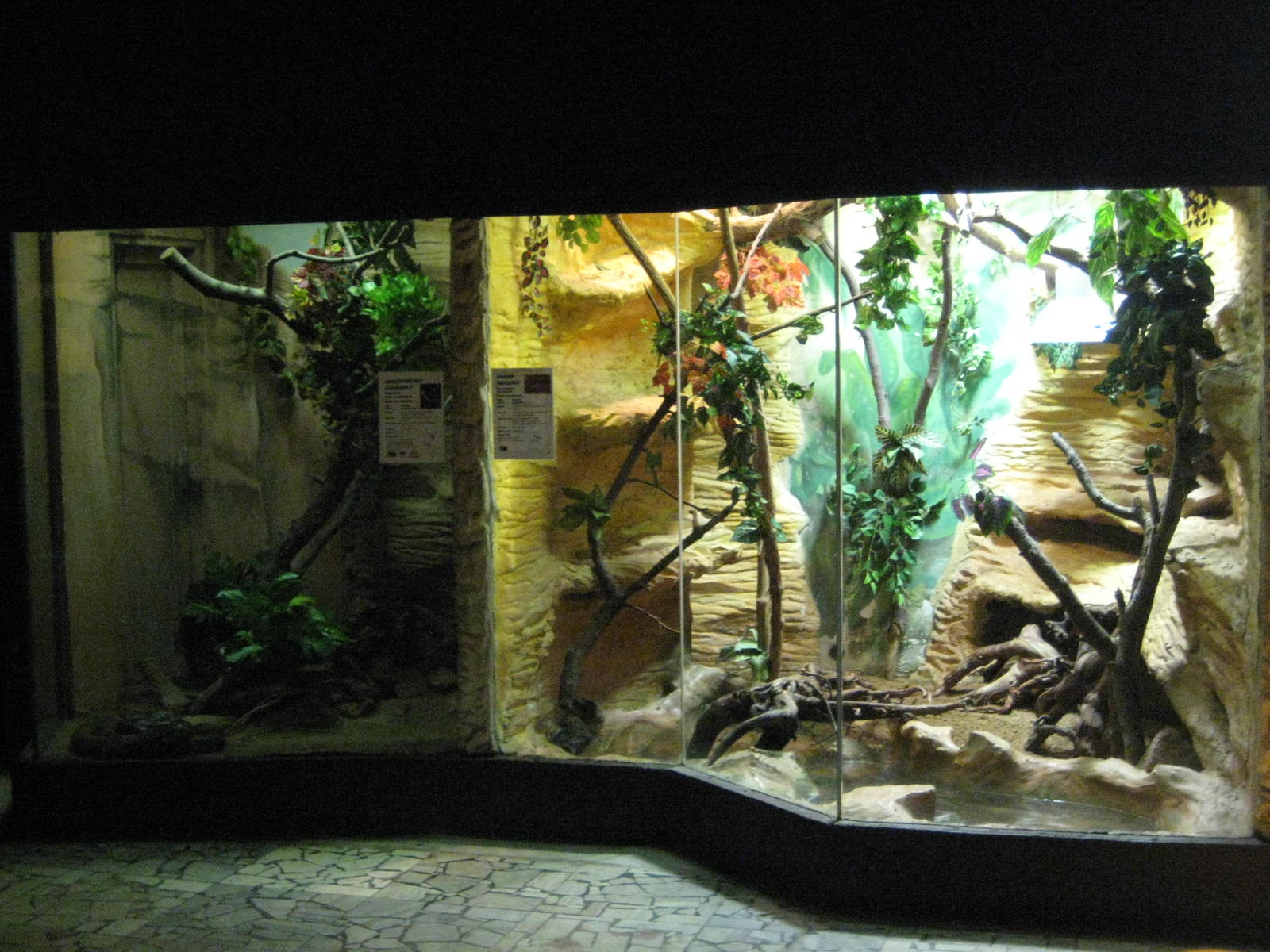 Usti nad Labem terrariums