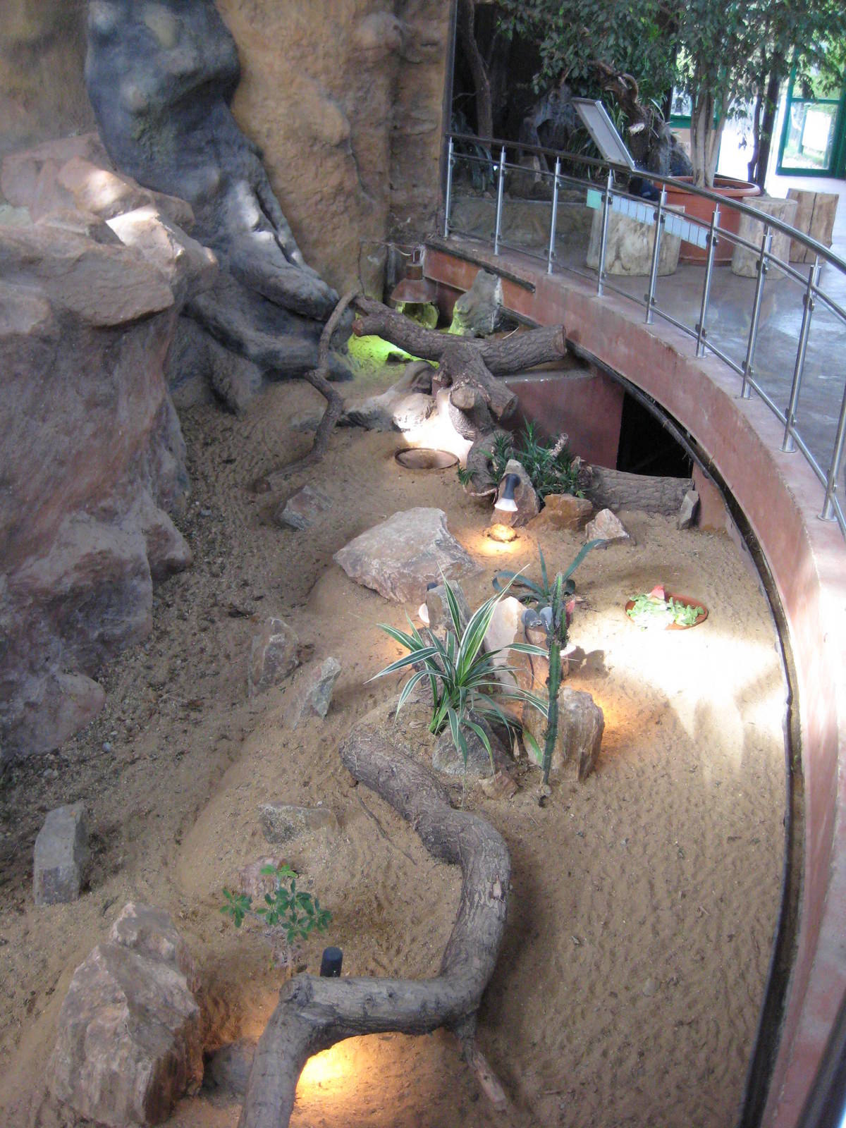 Usti nad Labem Tortoise Exhibit