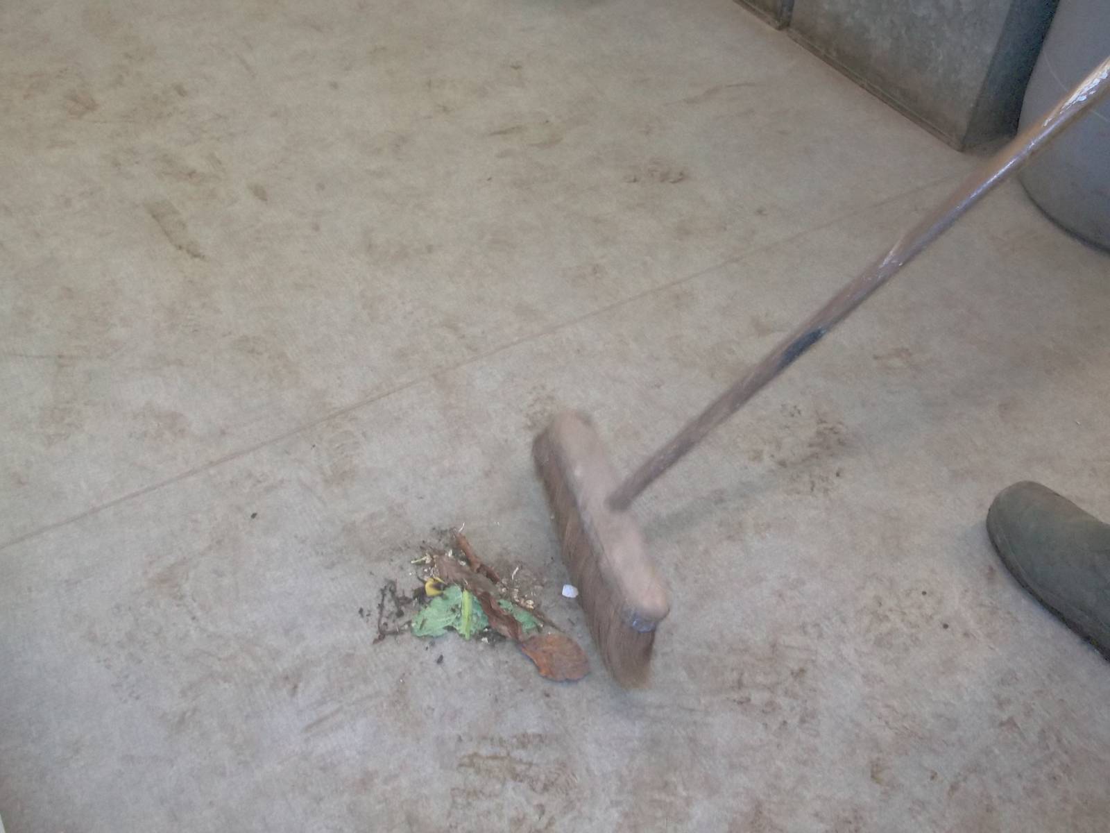 Usurped by Keeper Ed, 20th December 2014