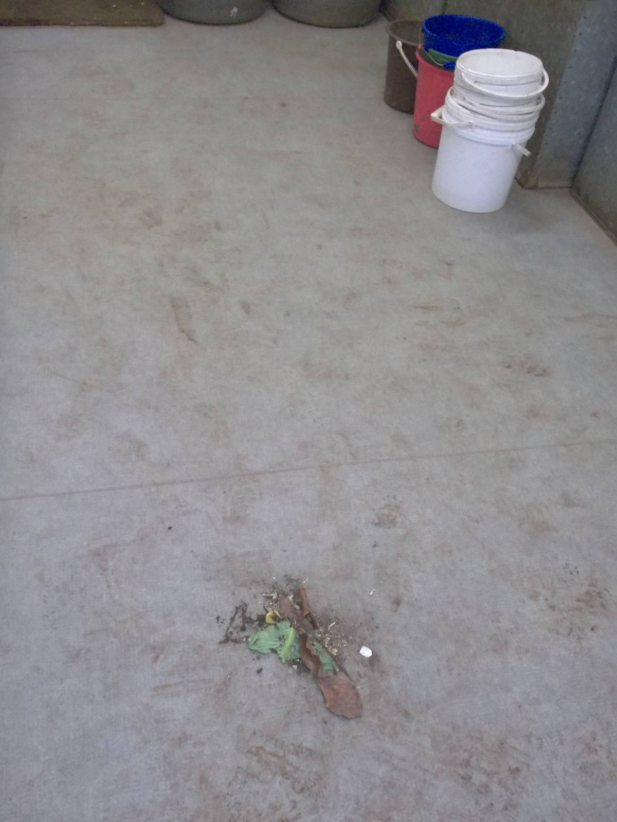 Usurped by Keeper Ed, 20th December 2014