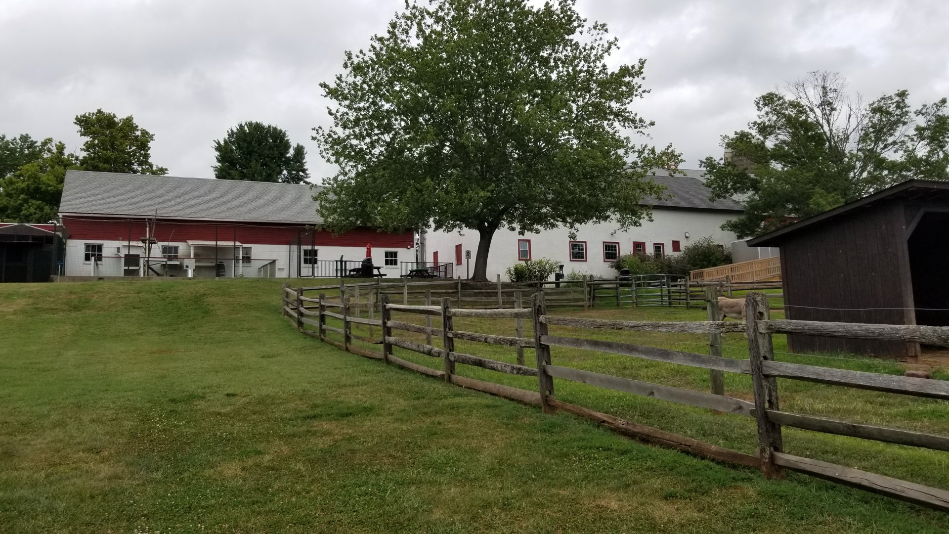 USVP - Back of building, donkeys