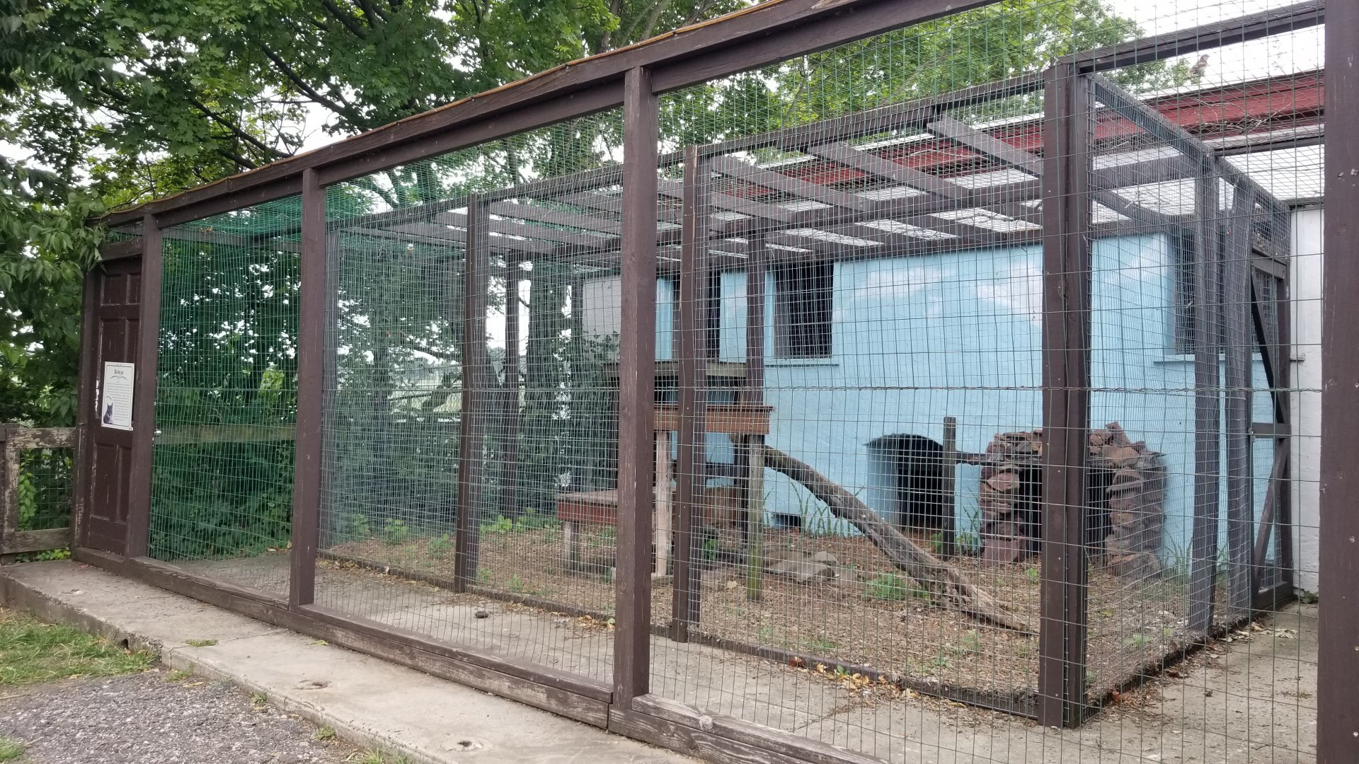 USVP - Bobcat outdoor area