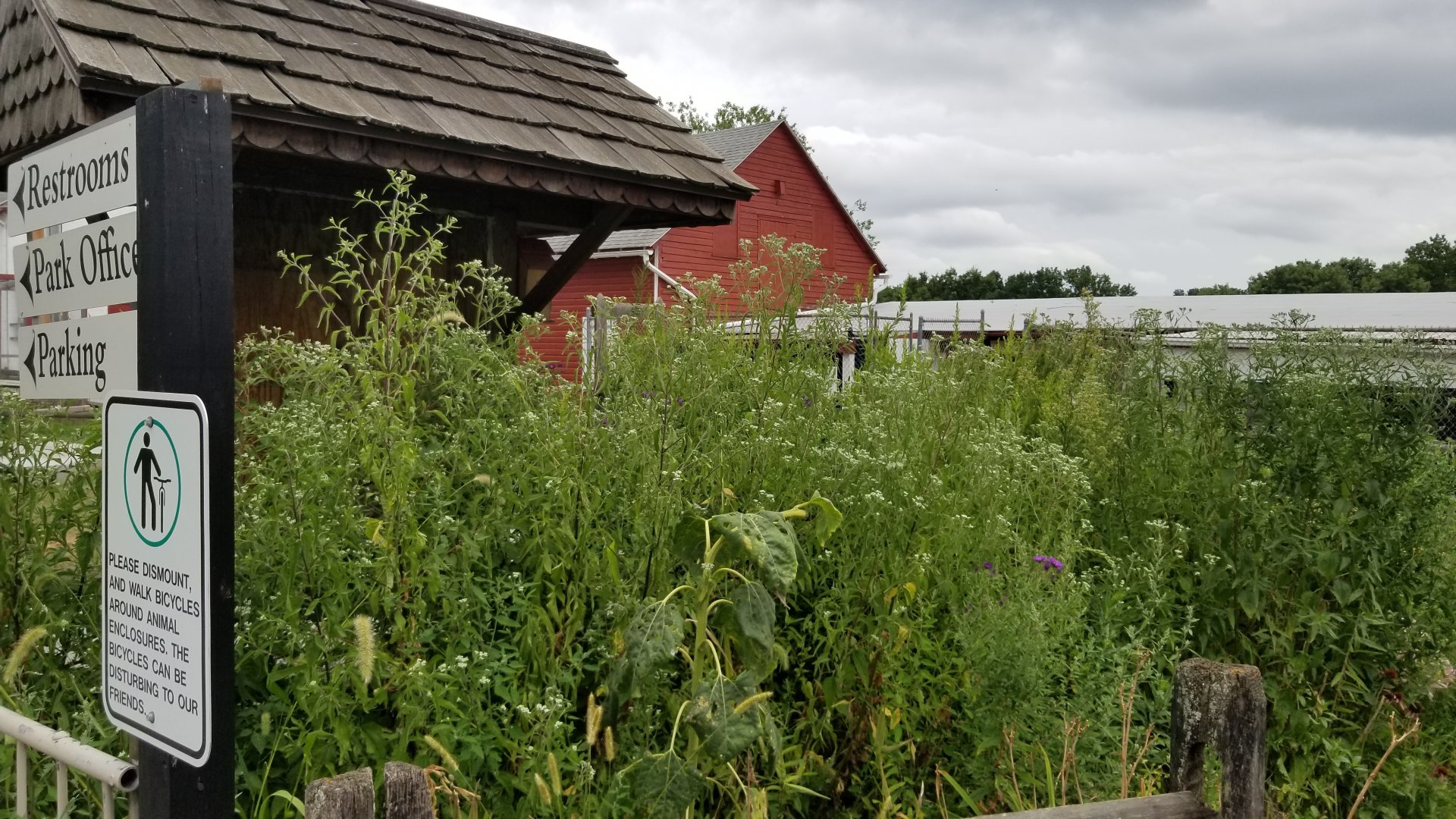 USVP - Butterfly plants