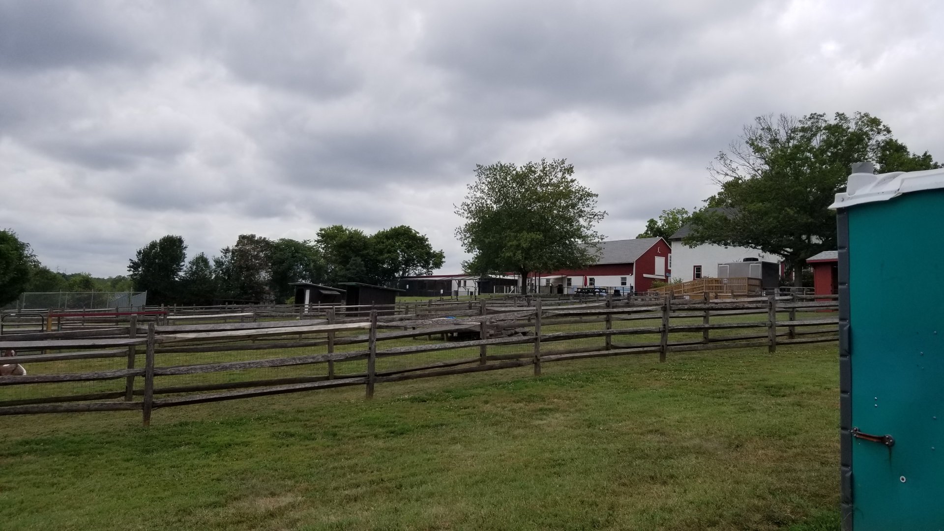 USVP - Domestic ungulates, view from parking lot