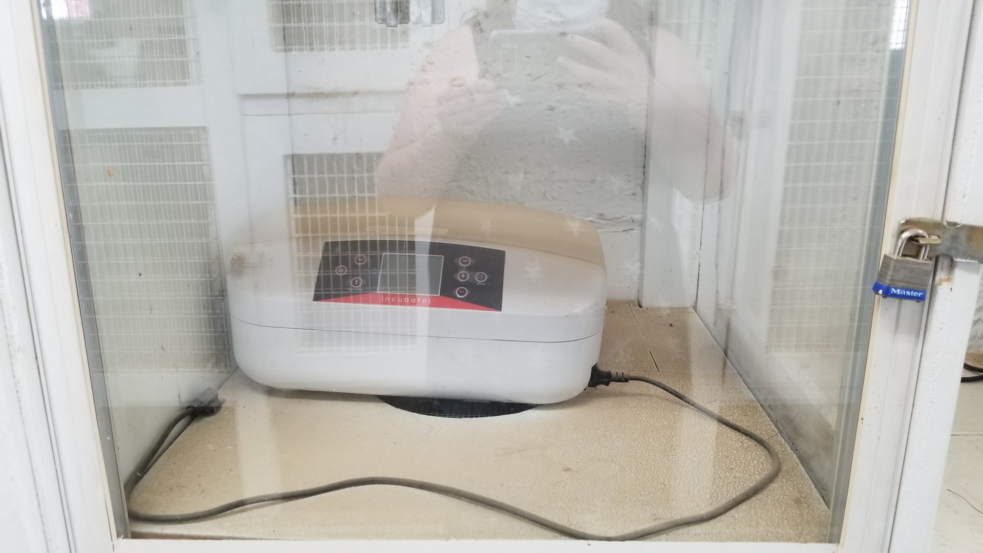 USVP - Egg incubator