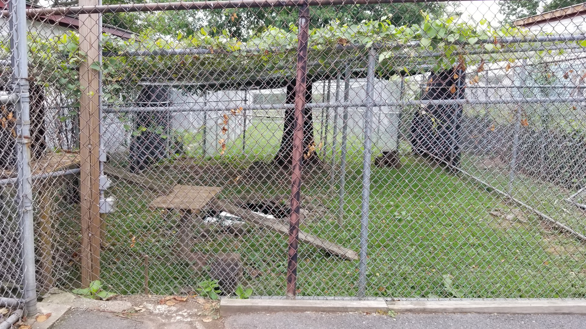 USVP - Empty exhibit?