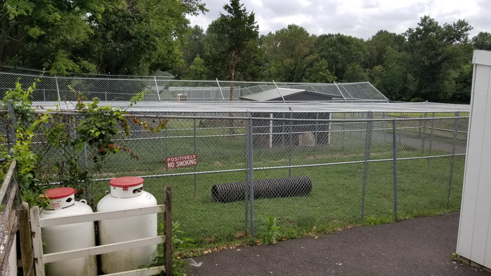 USVP - Empty exhibit?