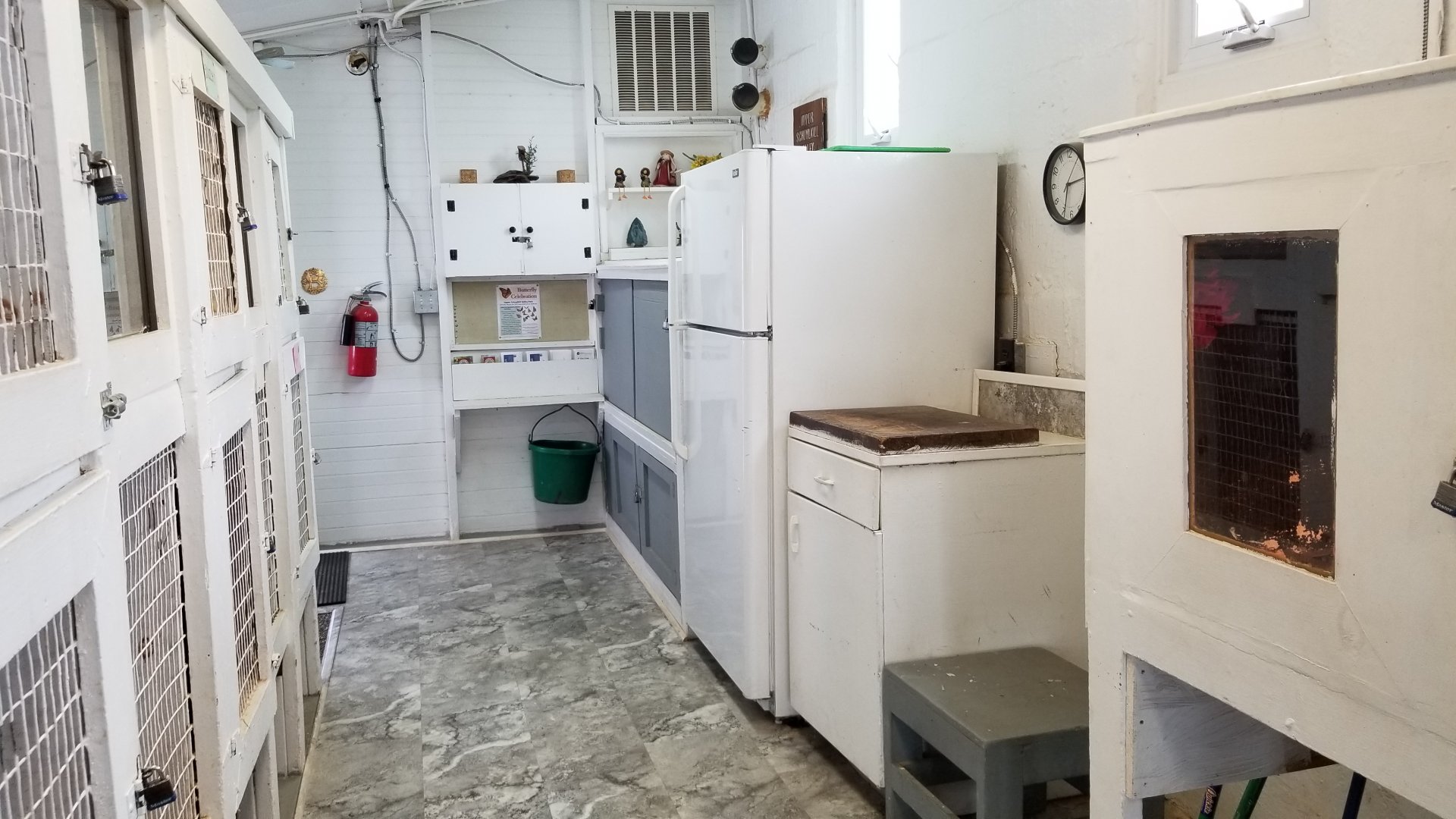 USVP - Fridge, cleaning area