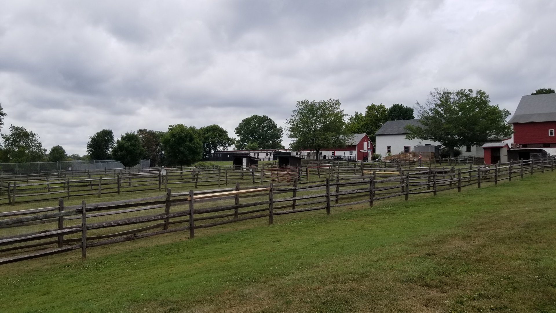 USVP - Goat from parking lot