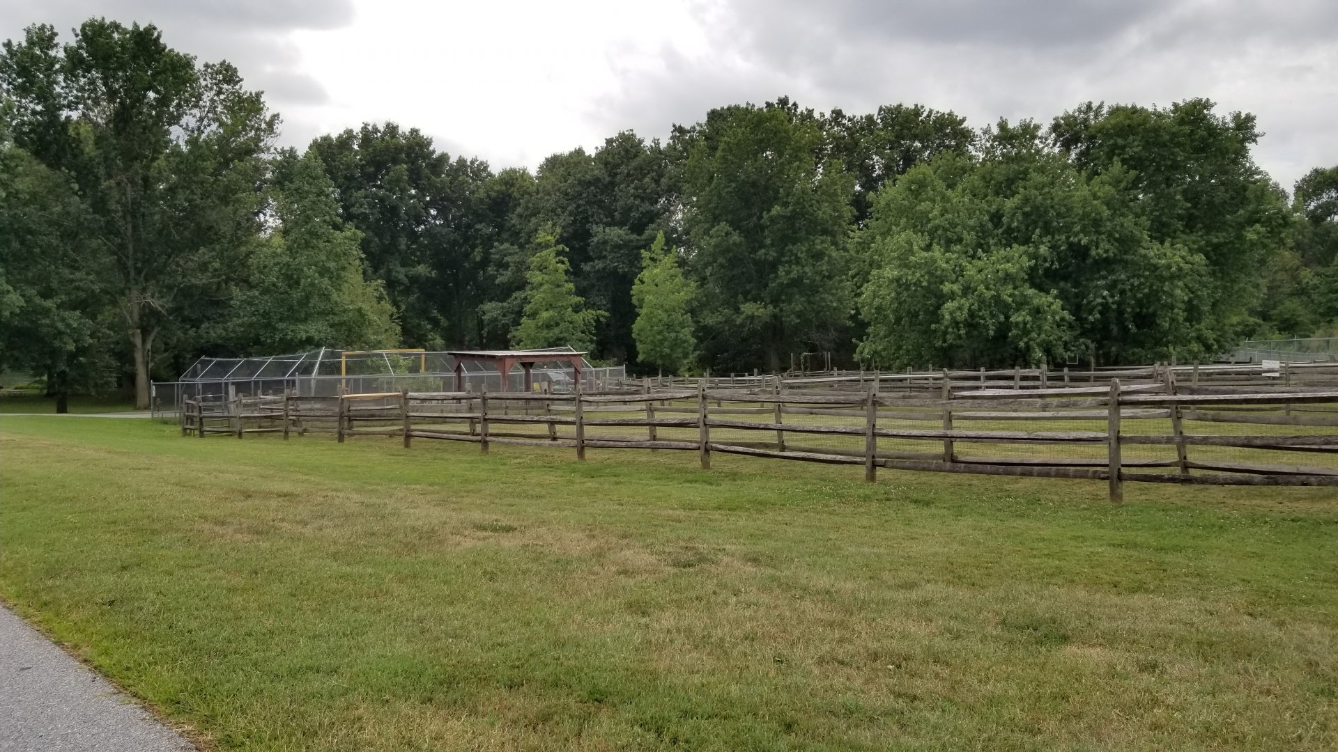 USVP - Goats, empty exhibit