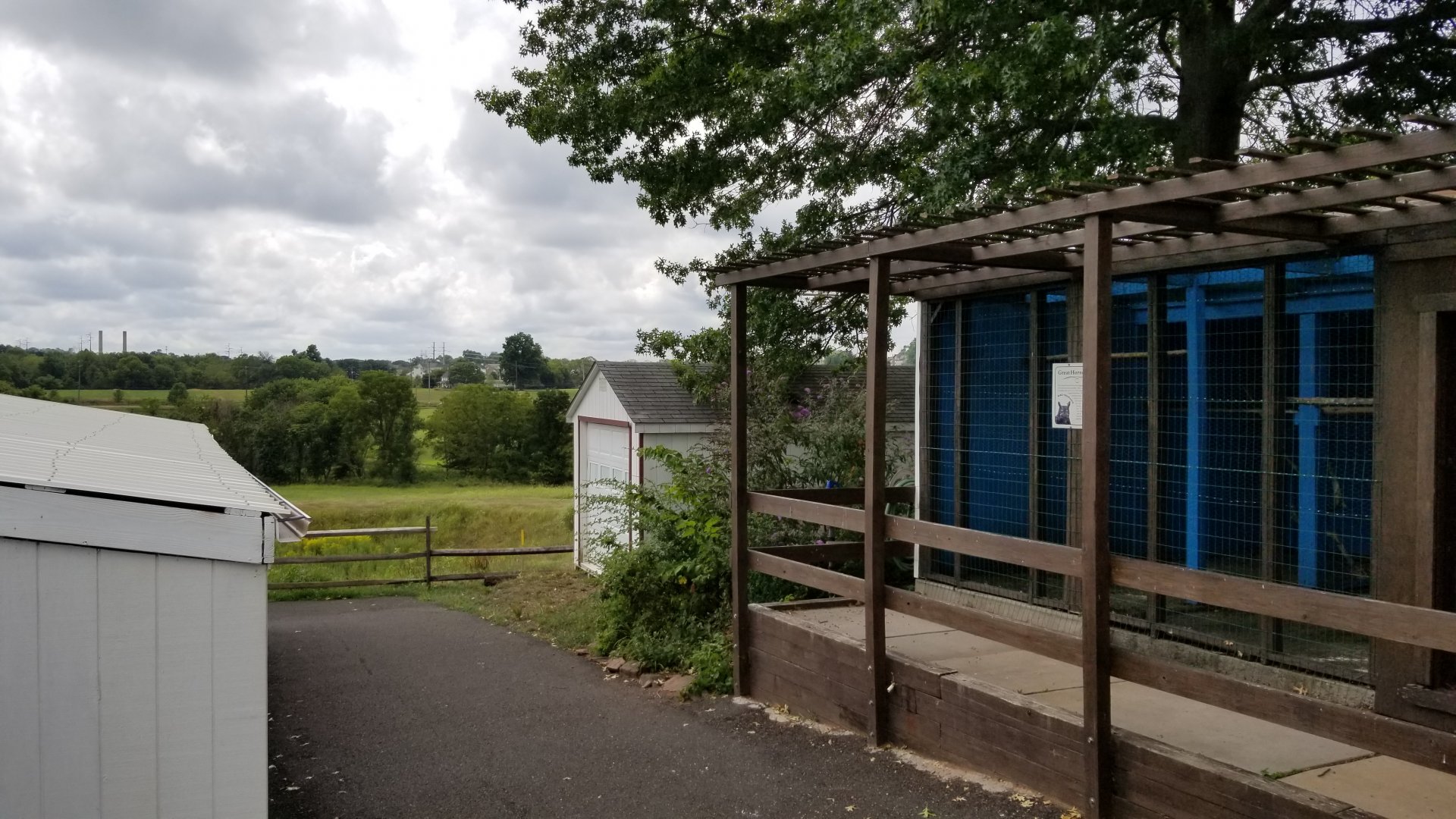 USVP - Great horned owl, fields beyond park