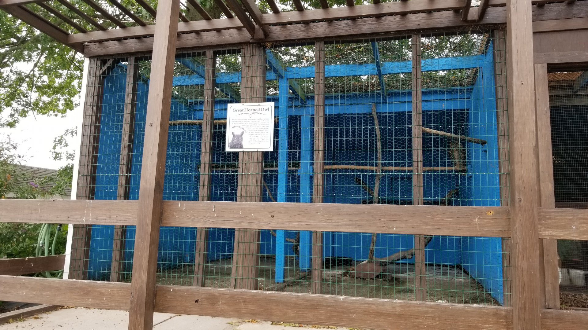 USVP - Great horned owl