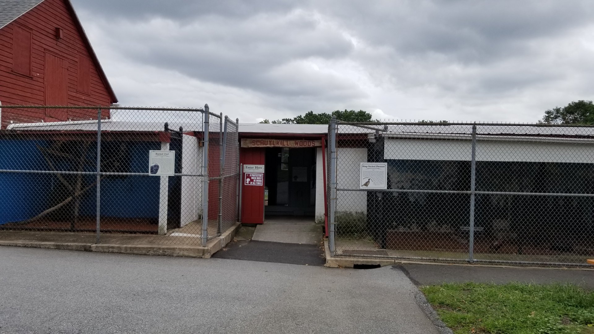 USVP - Outside Schuylkill Woods, barred owl on left, ring-neck pheasant on right