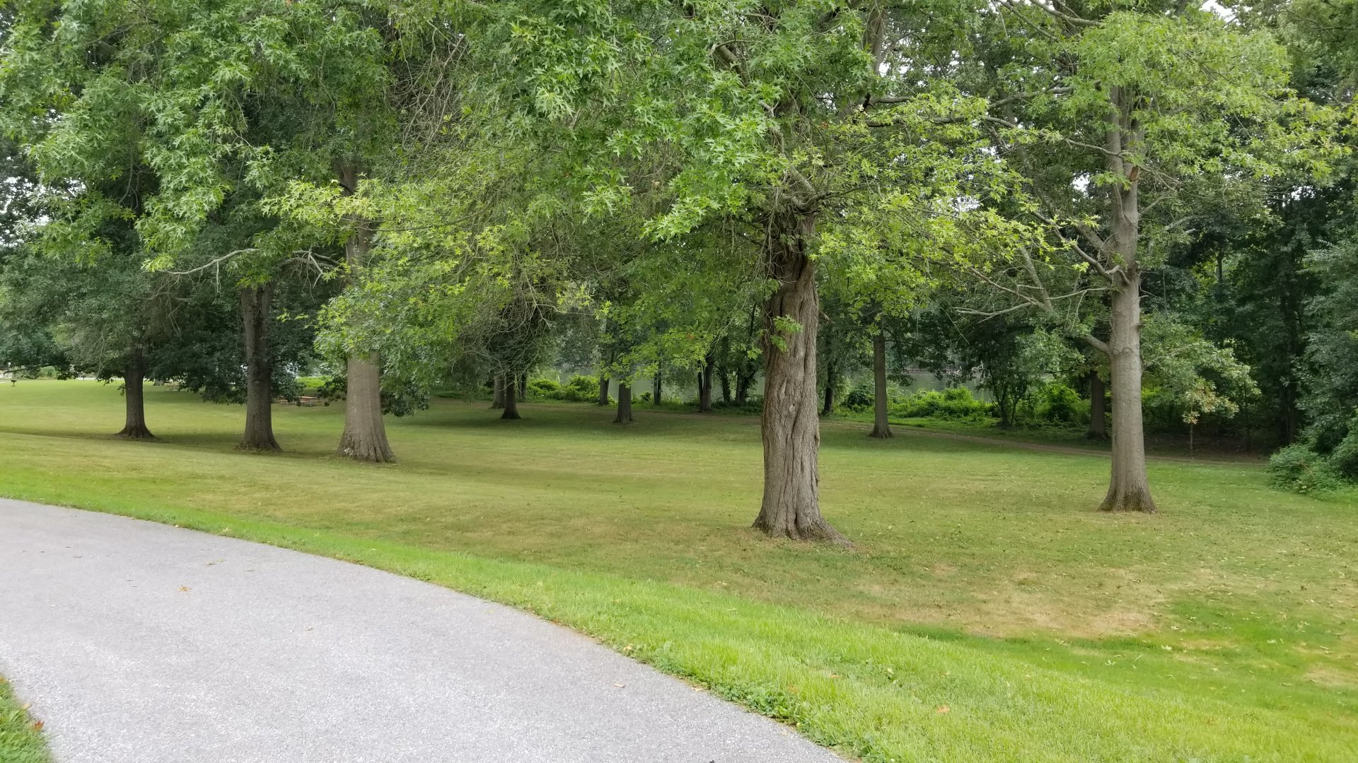 USVP - Park, Schuylkill River