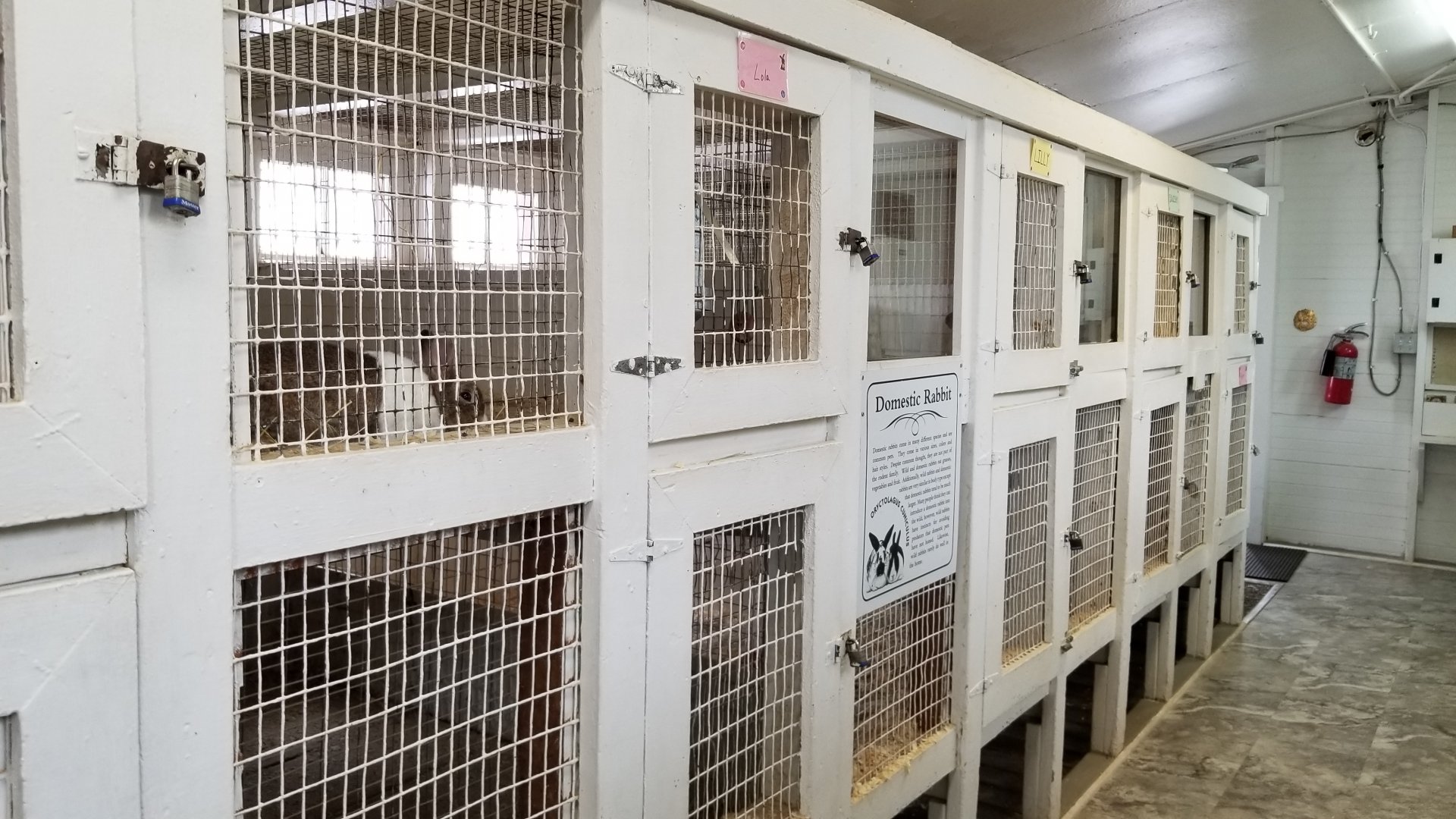 USVP - Row of hutches from other end