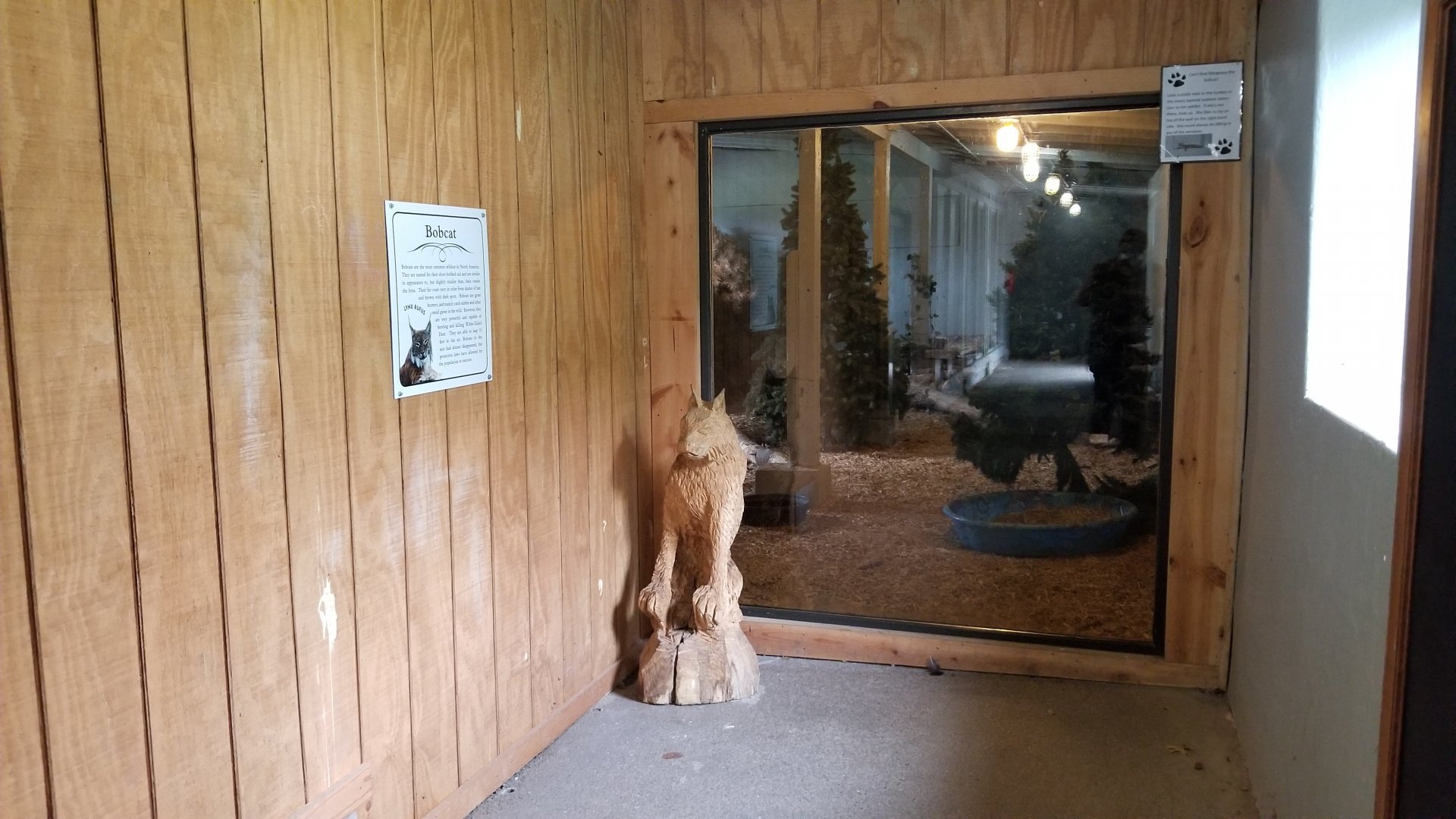 USVP - Schuylkill Woods, Bobcat indoor area