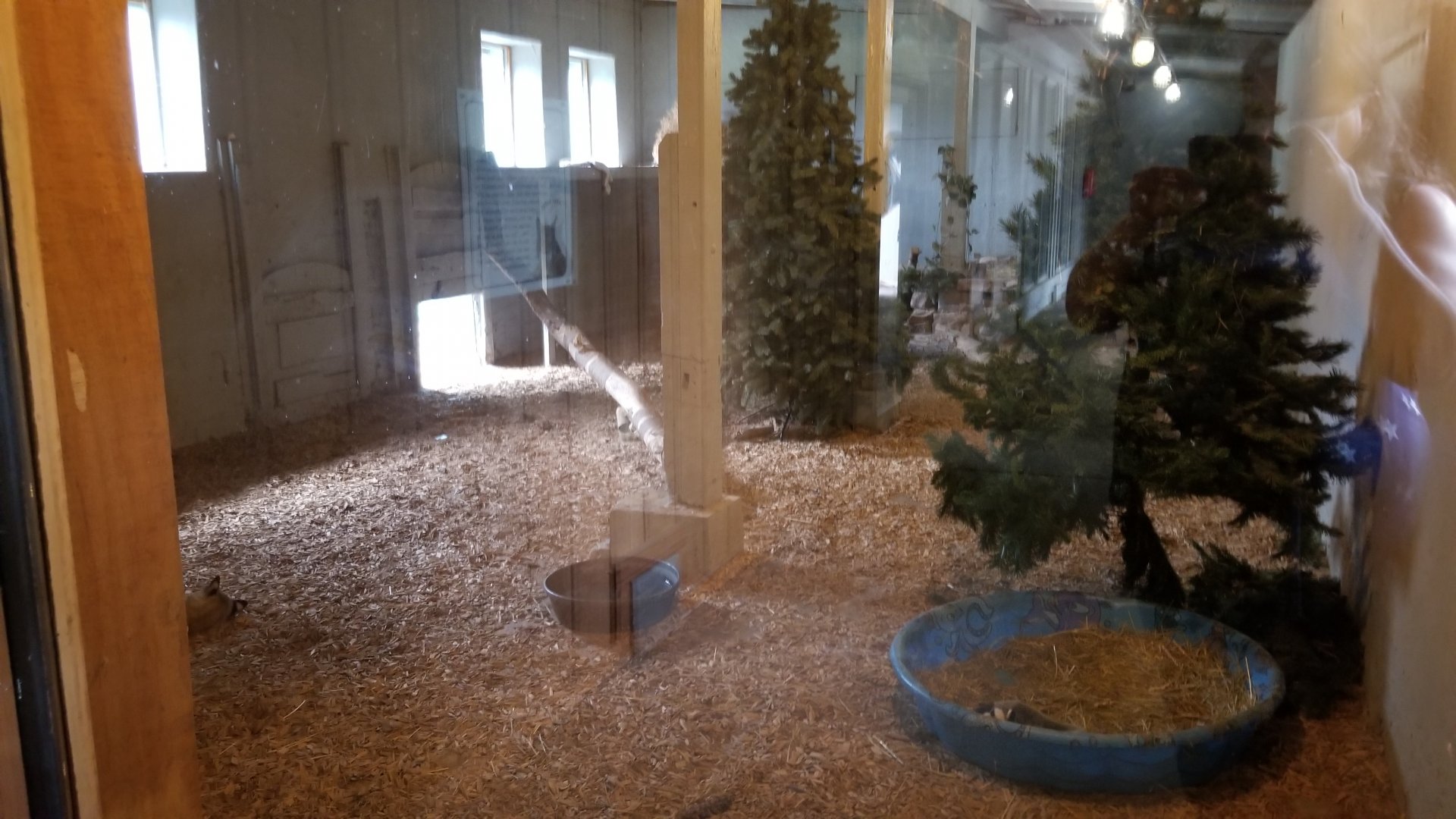 USVP - Schuylkill Woods, Bobcat indoor area