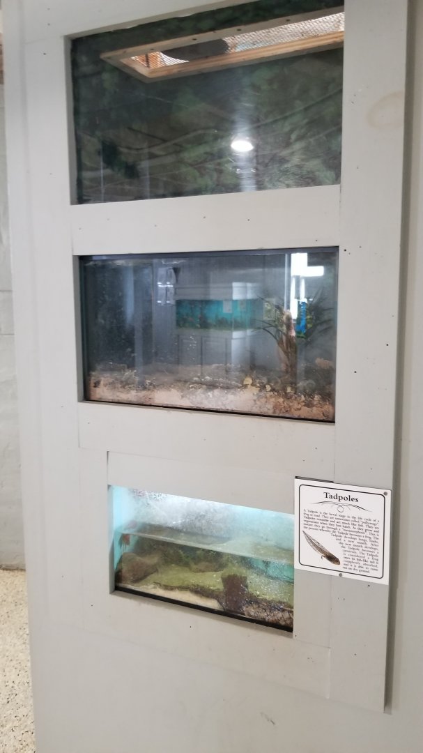 USVP - Unspecified tadpoles