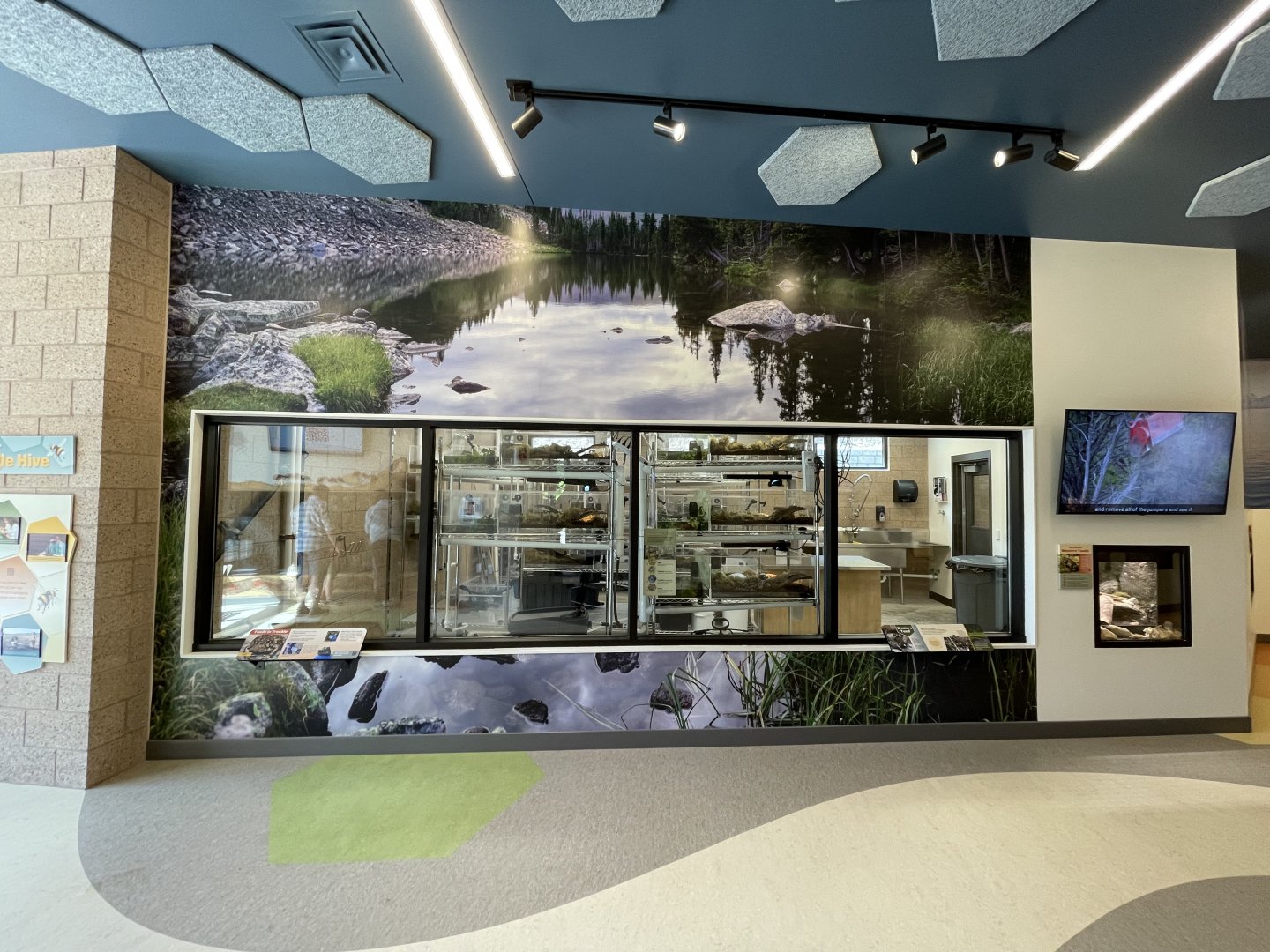 Utah Amphibian Conservation Room