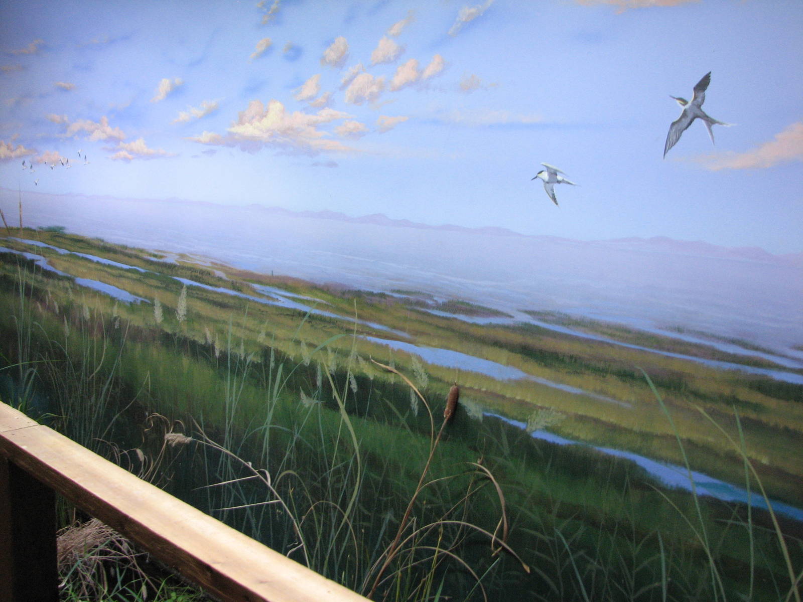 Utah Waters Gallery - Great Salt Lake Mural