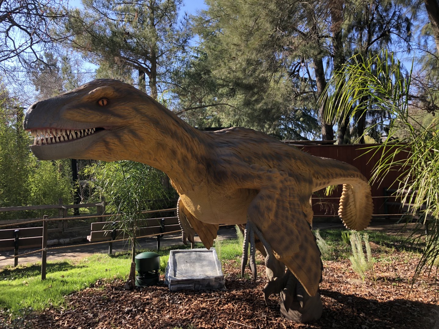 Utahraptor animatronic (new & temporary)