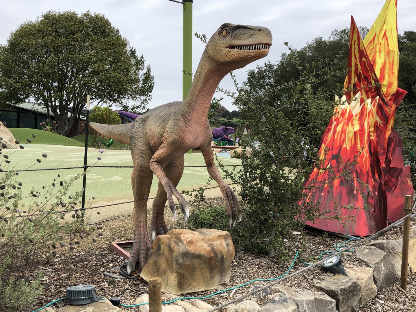 Utahraptor ostrommaysorum