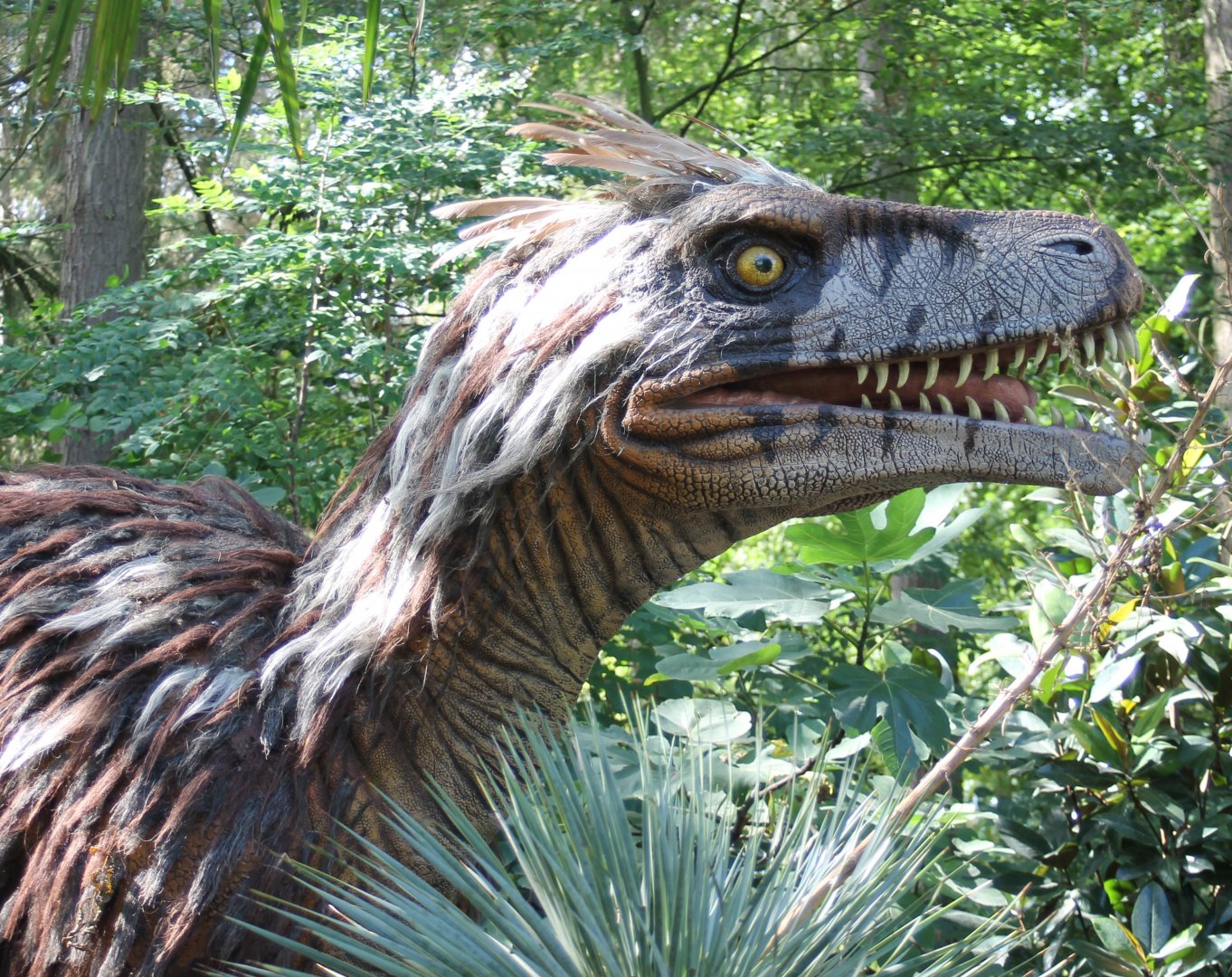 Utahraptor