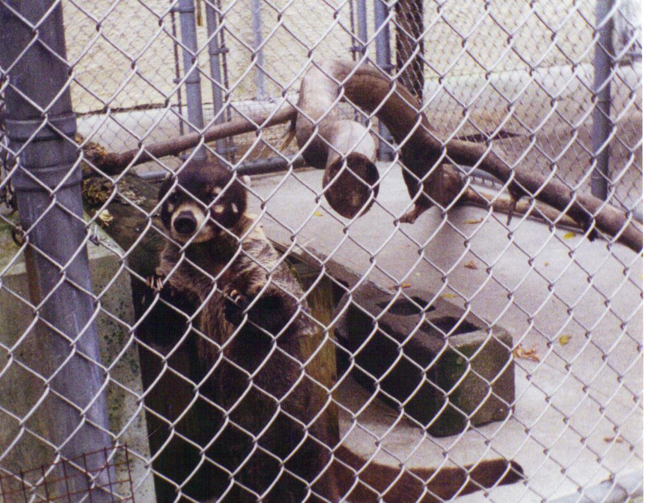 Utica zoo