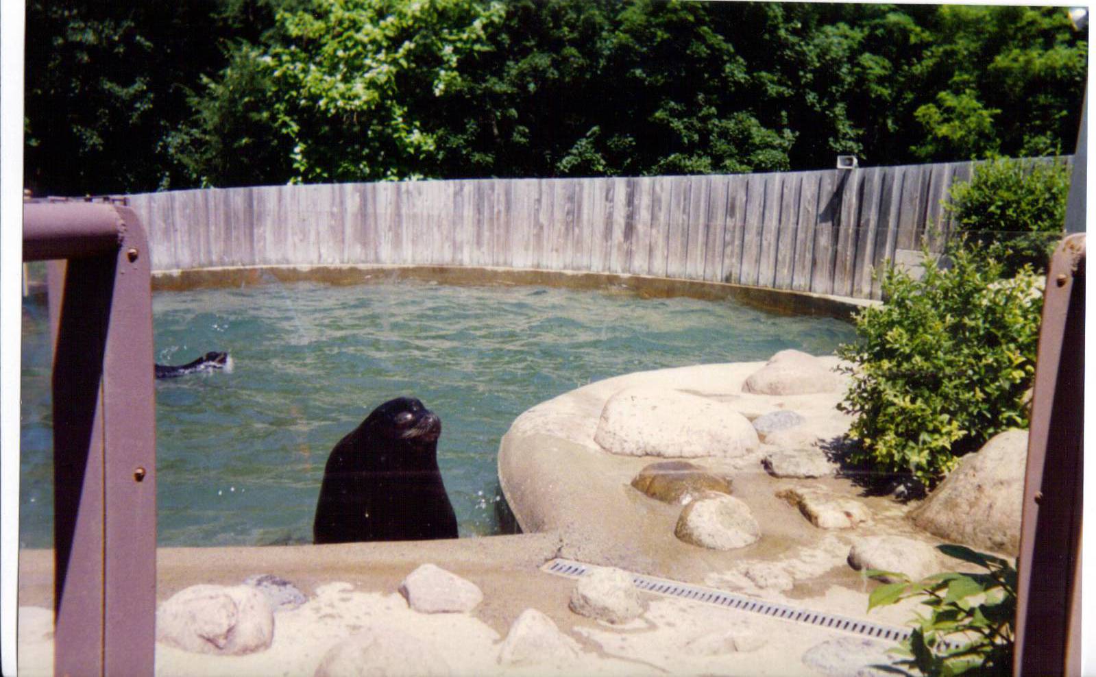 Utica zoo