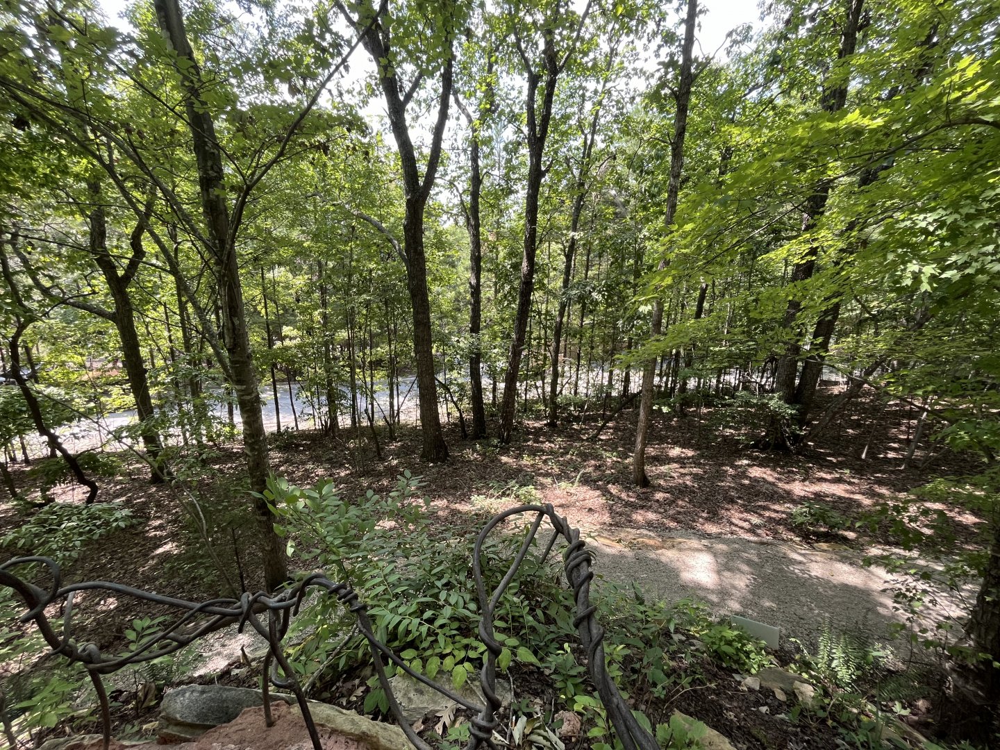 Uwharrie Vision View from Top