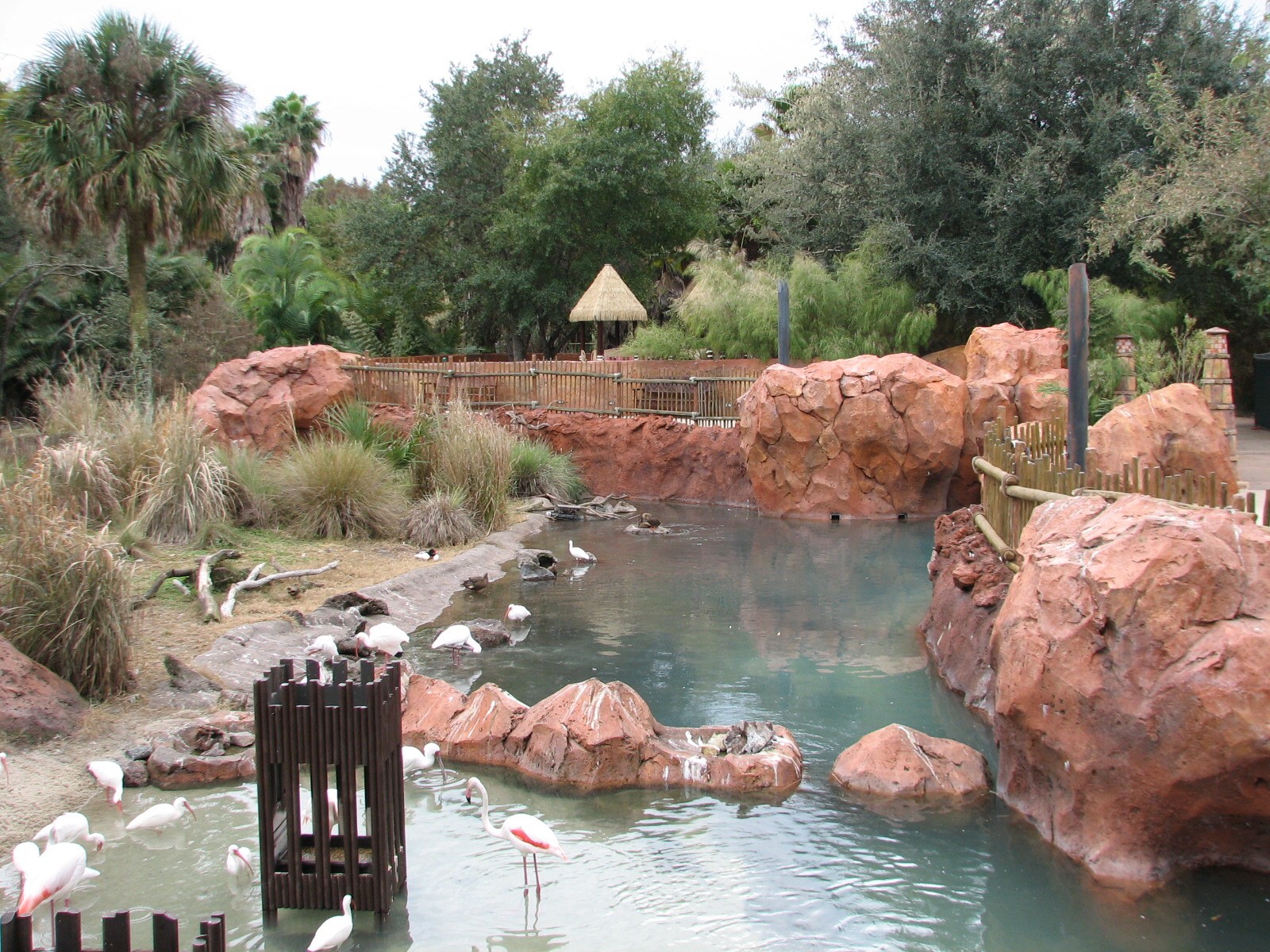 Uzima Savanna - Greater Flamingo Area