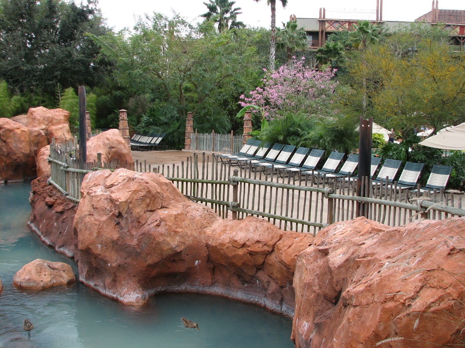 Uzima Savanna - Greater Flamingo Viewing Area