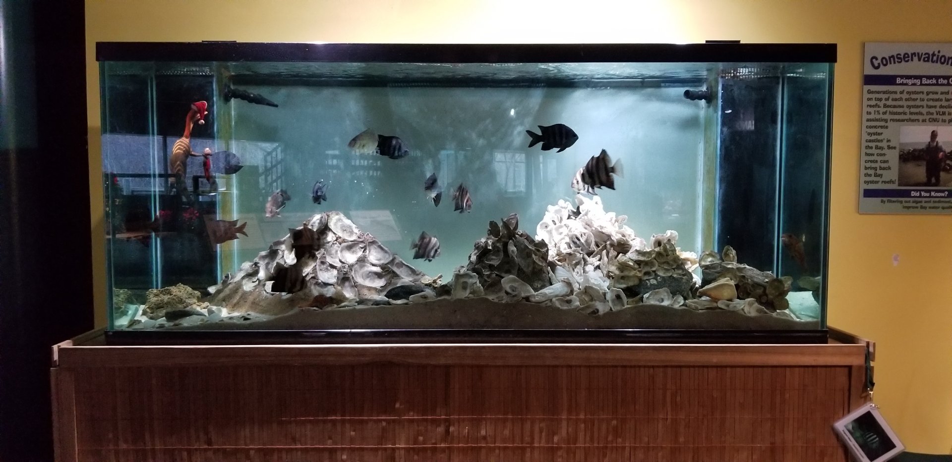VA Living Museum - Appalachian Cove - tank behind stairs