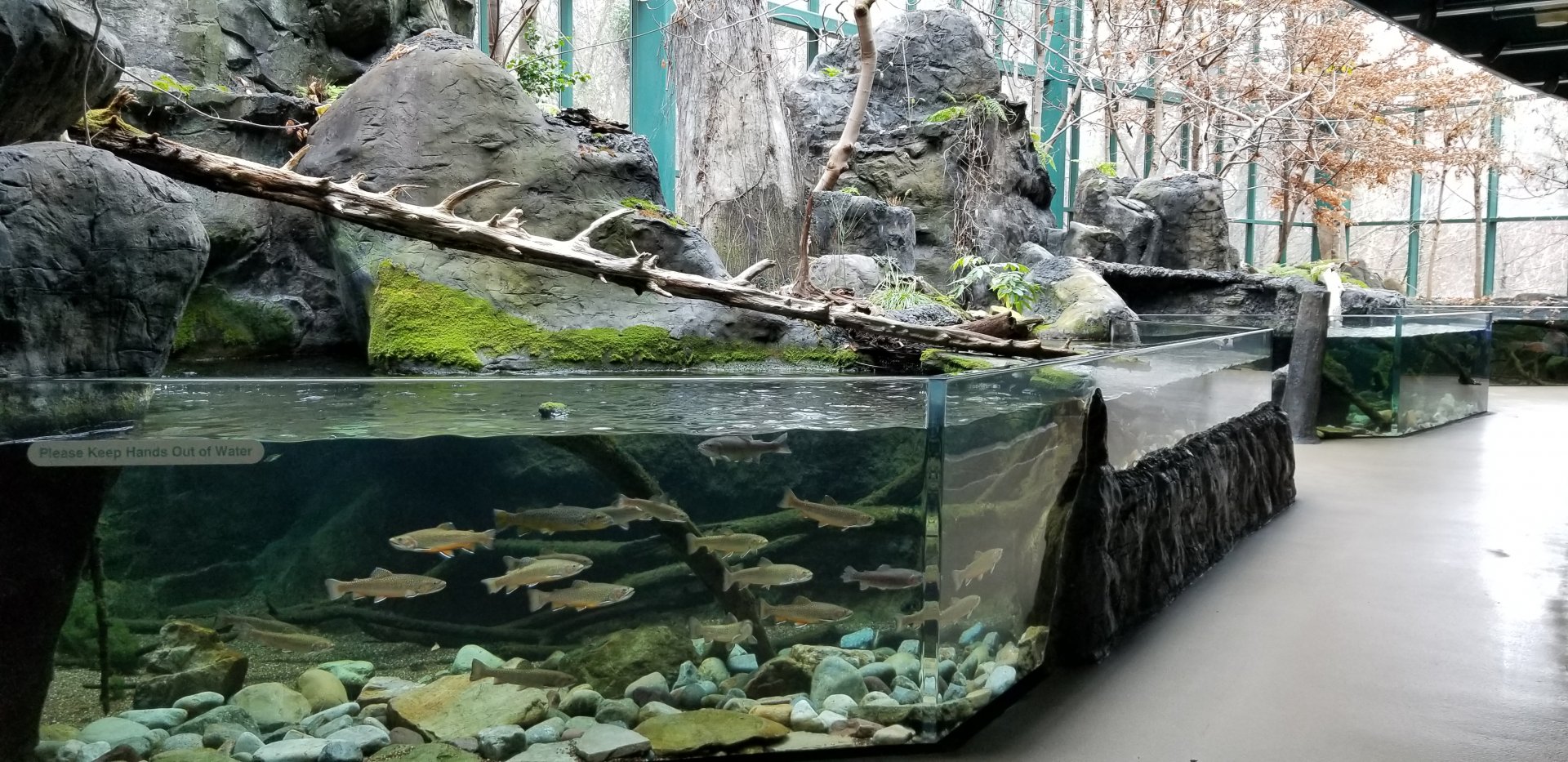 VA Living Museum - Appalachian Cove