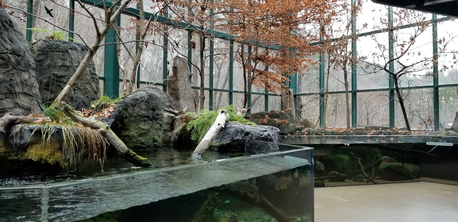 VA Living Museum - Appalachian Cove