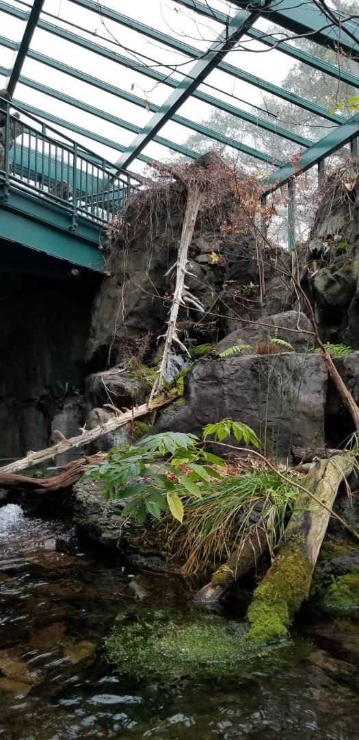 VA Living Museum - Appalachian Cove