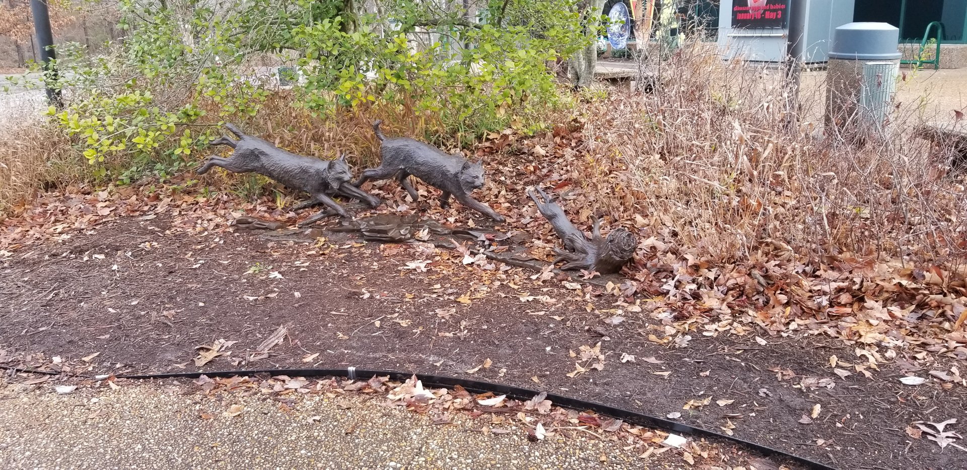 VA Living Museum - Bobcat statue out front