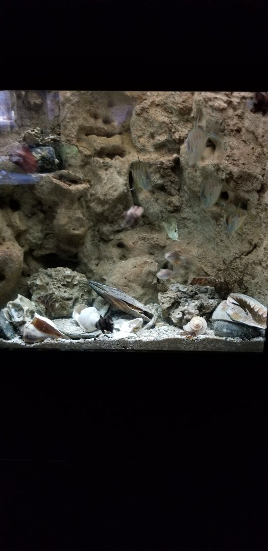 VA Living Museum - Coastal Plain - nursery