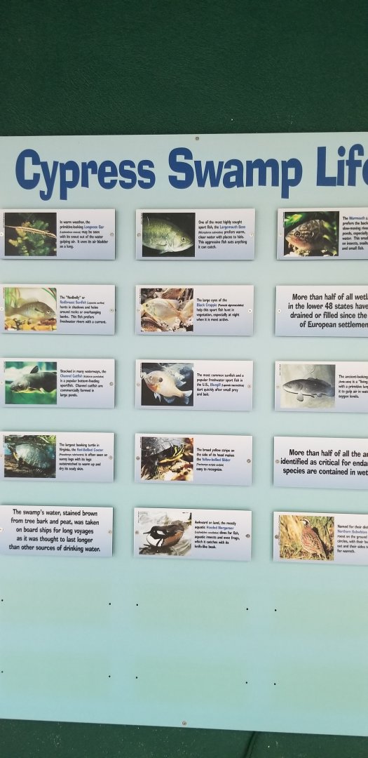 VA Living Museum - Cypress Swamp - species