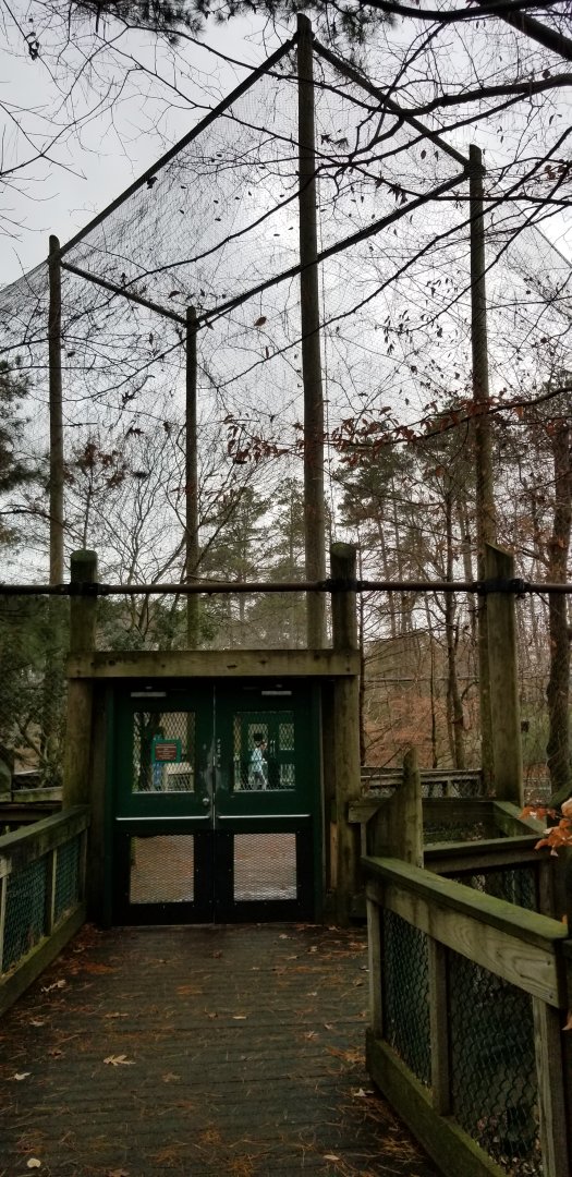 VA Living Museum - Entry to aviary from direction of wolves