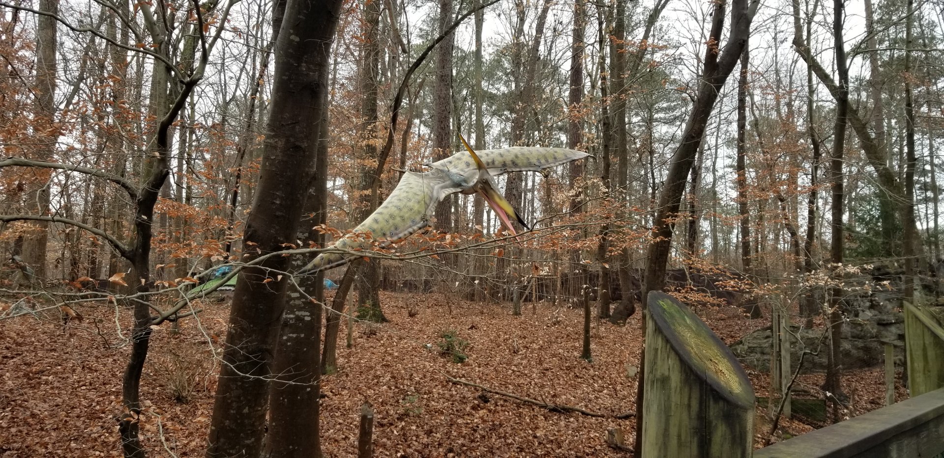 VA Living Museum - Example of dinosaurs