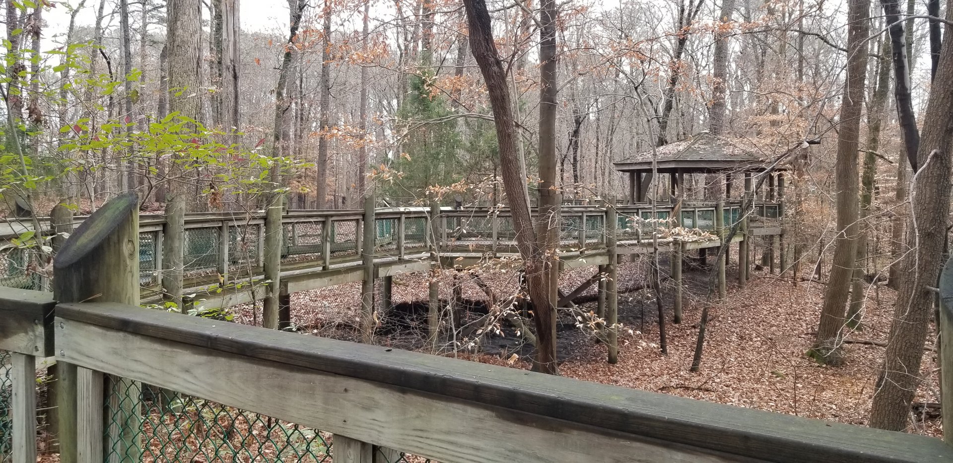 VA Living Museum - example of walkways; all outside paths are on these raised boardwalks