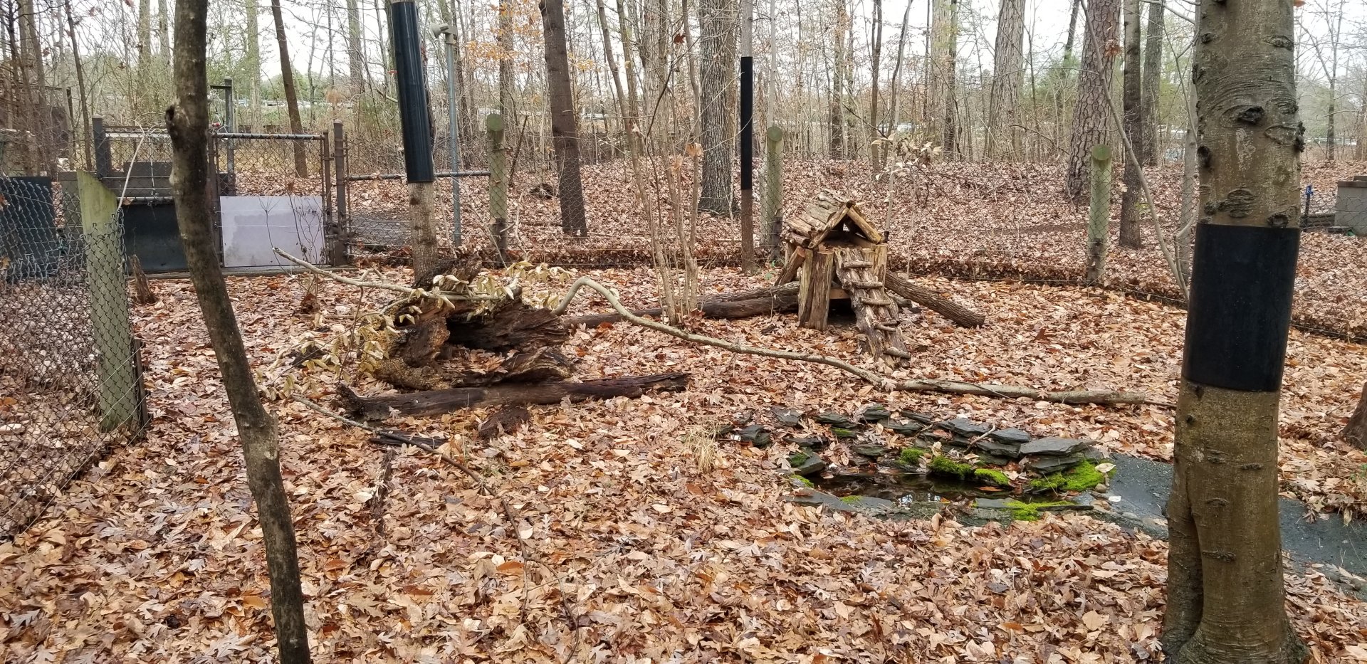 VA Living Museum - Opossum exhibit