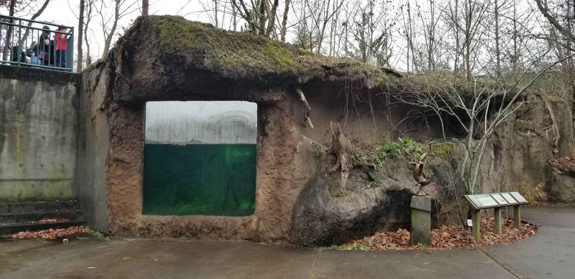 VA Living Museum - Otter underwater viewing