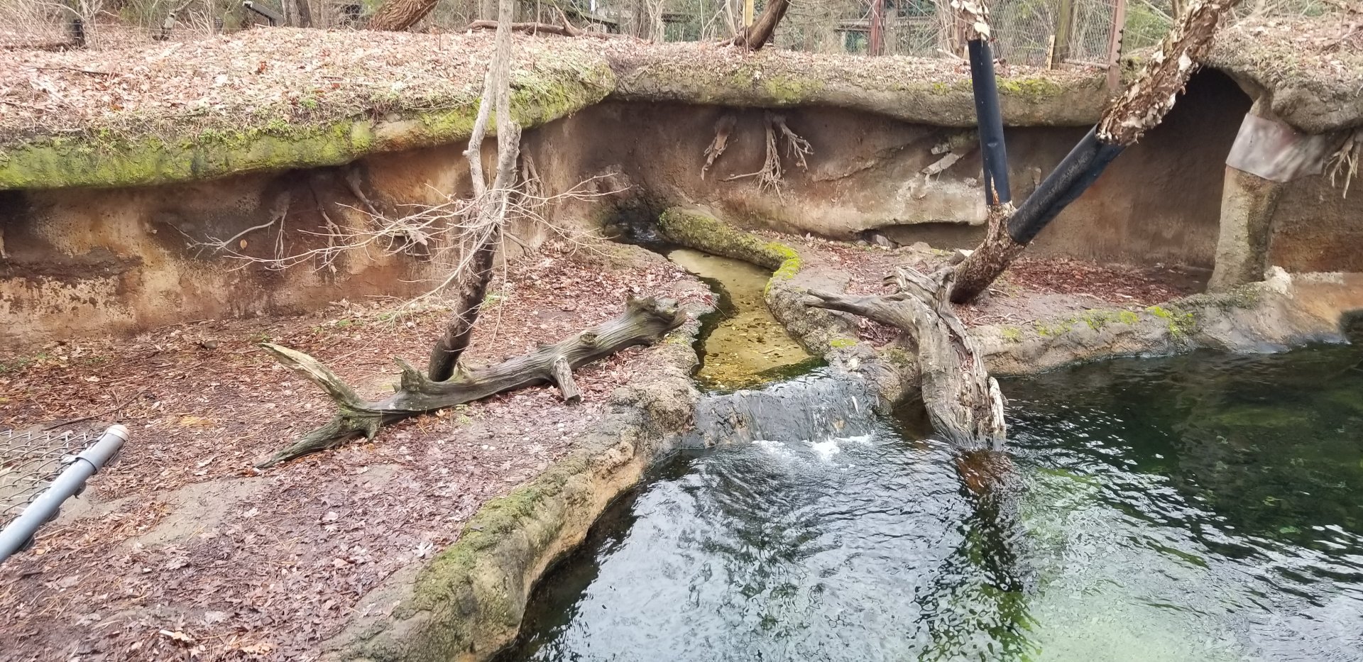 VA Living Museum - Otters land area
