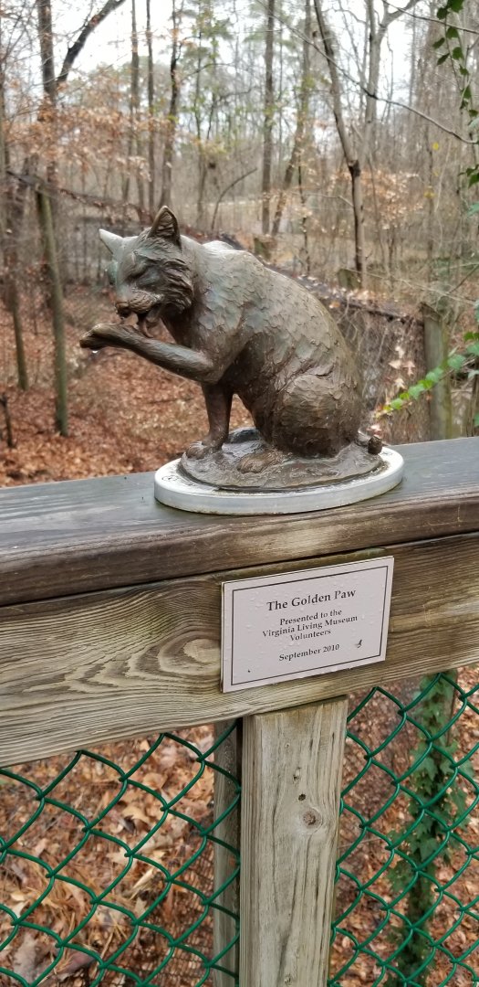VA Living Museum - Statue by bobcat exhibit