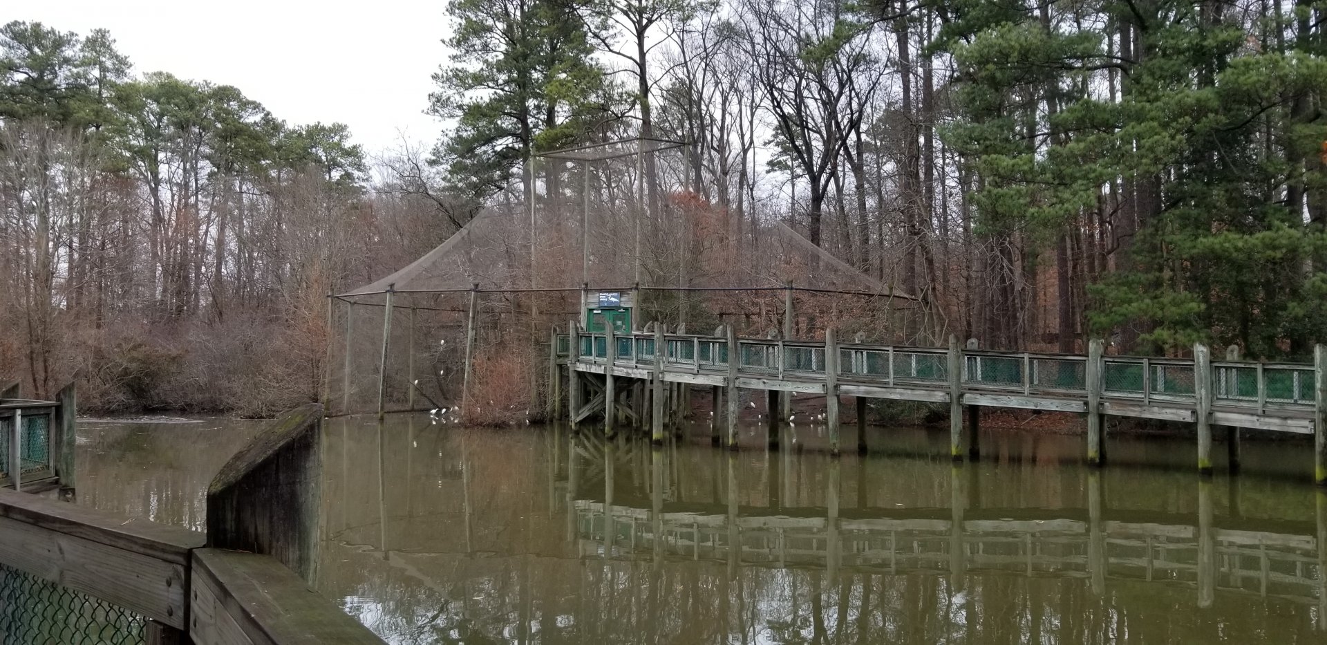 VA Living Museum - View of aviary from raccoon exhibit