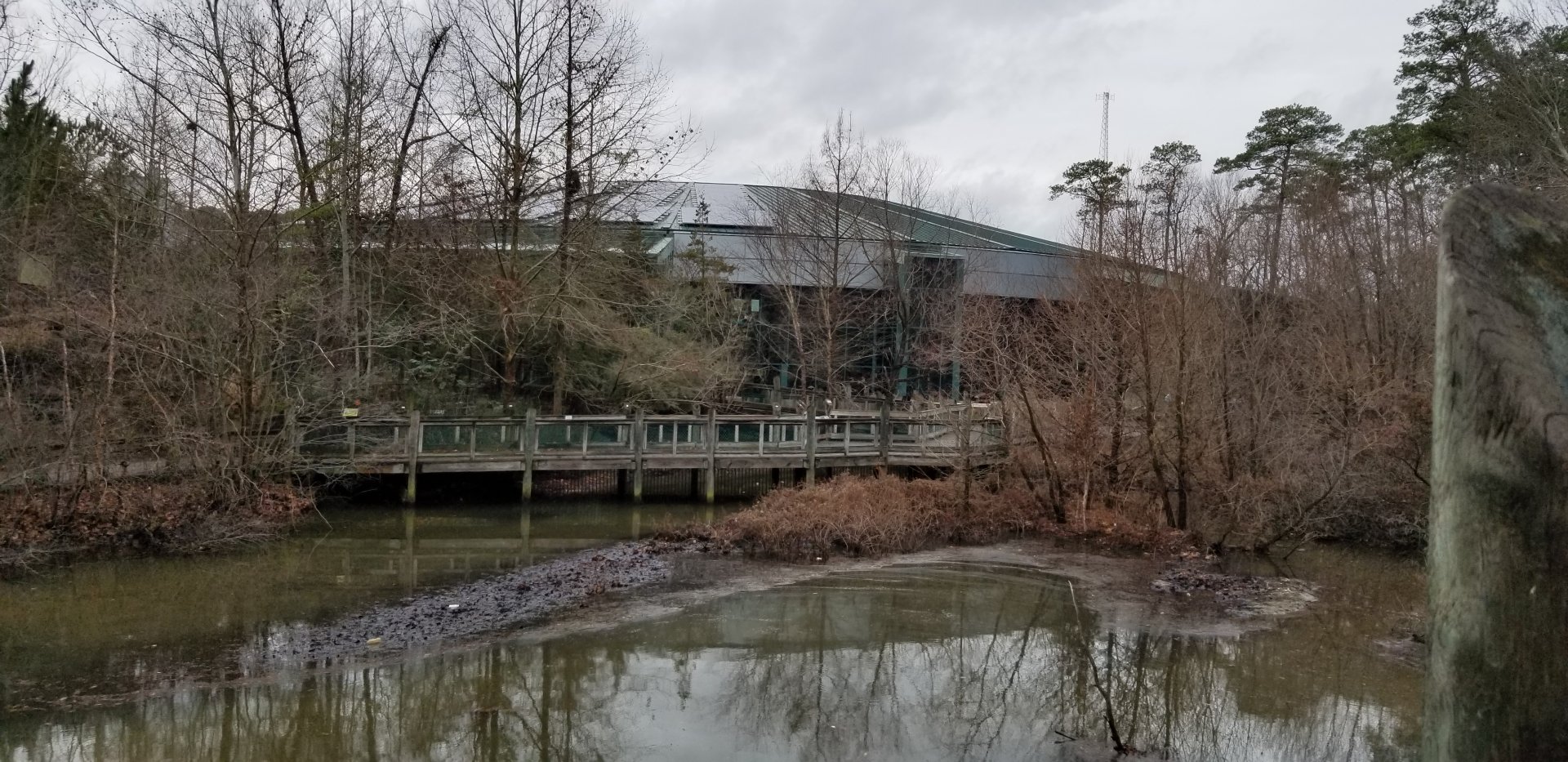 VA Living Museum - View of back of museum from aviary