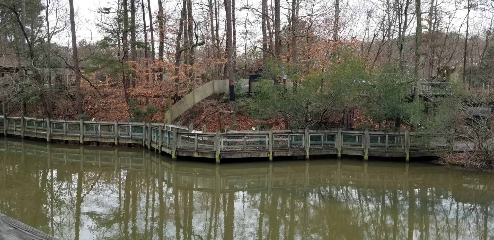 VA Living Museum - View of Raccoon exhibit, etc from aviary