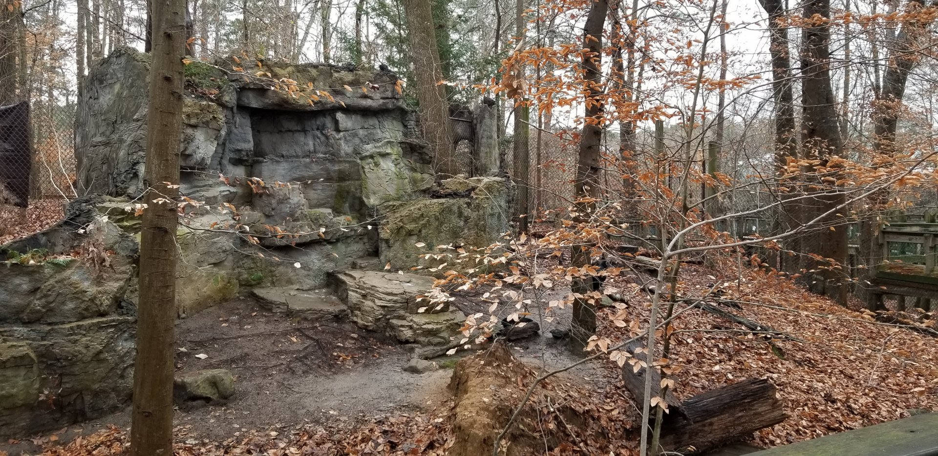 VA Living Museum - Vulture exhibit, 1 black and 1 TV